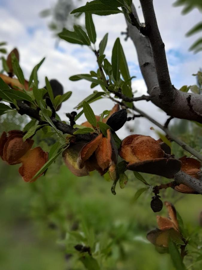Las Guaras Valle De Uco Tunuyán المظهر الخارجي الصورة