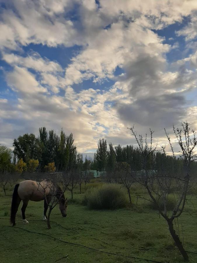 Las Guaras Valle De Uco Tunuyán المظهر الخارجي الصورة